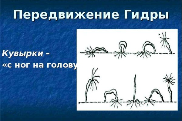Актуальное зеркало на кракен