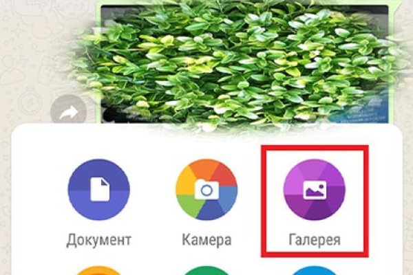 Kraken актуальные зеркала krakentor site
