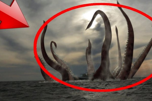 Kraken krn