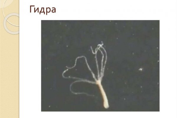 Кракен макет даркнет только через тор