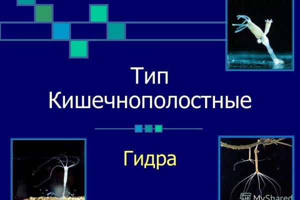Кракен сайт даркнет