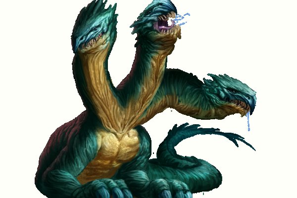 Kraken 12 at
